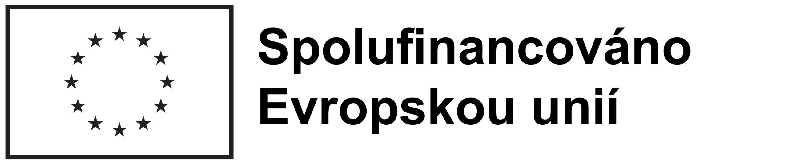 CS Spolufinancováno Evropskou unií_BLACK Outline